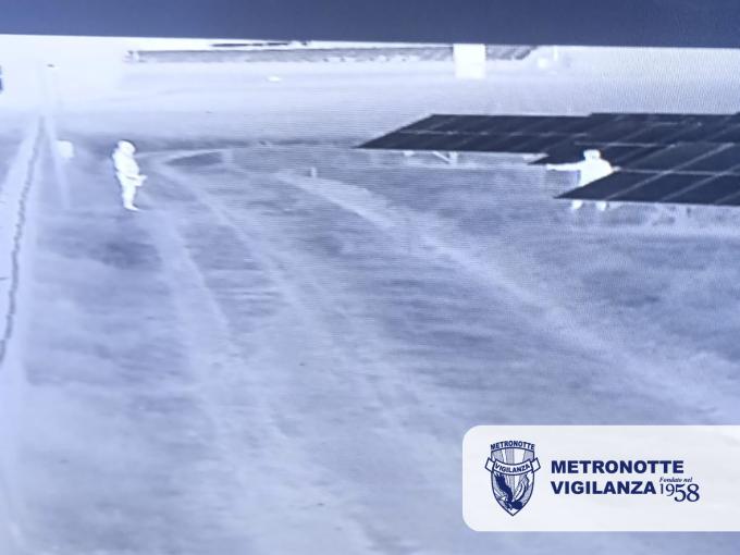 MARINA DI GINOSA (TA) - Furto sventato in un parco fotovoltaico dalle Guardie Giurate Metronotte con l'intervento dei Carabinieri