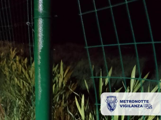 MARINA DI GINOSA (TA) - Furto sventato in un parco fotovoltaico dalle Guardie Giurate Metronotte con l'intervento dei Carabinieri