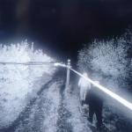 MASSAFRA (TA) - Furto sventato grazie all'arrivo tempestivo delle pattuglie METRONOTTE